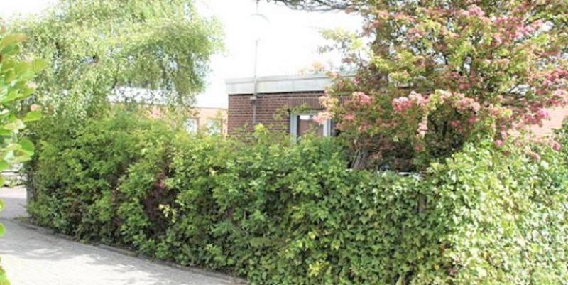 Pelikanstrasse 63 Norddeich  Eksteriør billede